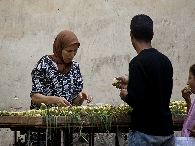 #morocco, Fez